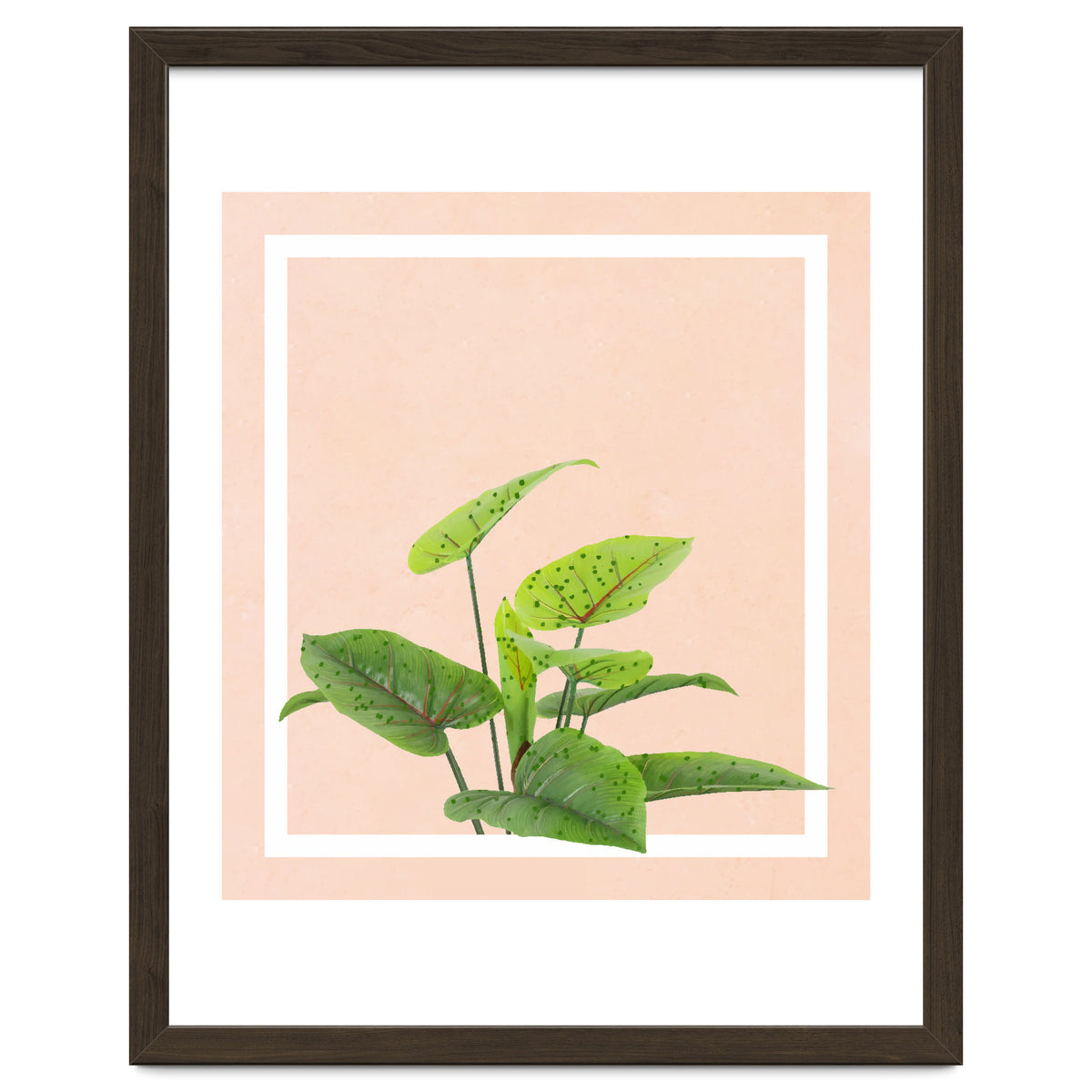 Botanical Art