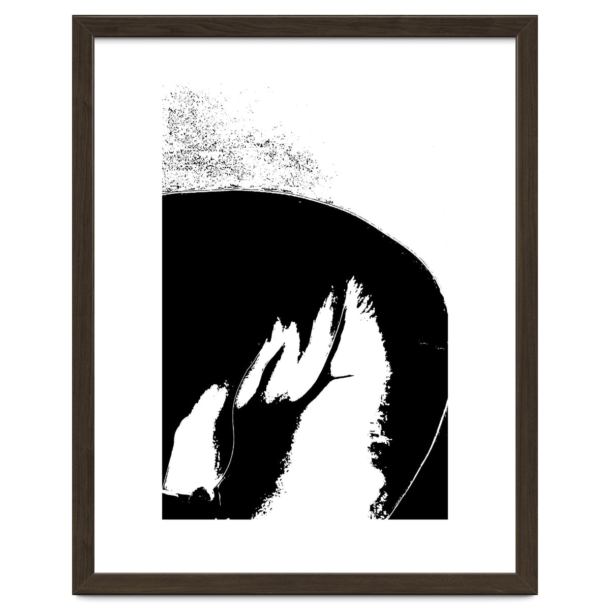 Black & White Study III