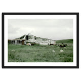 Sheep with a farmhouse - Iceland thumbnail