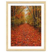 Lush Autumn Forest Path Covered