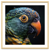 Close Up Of A Colorful Parrot's Face thumbnail
