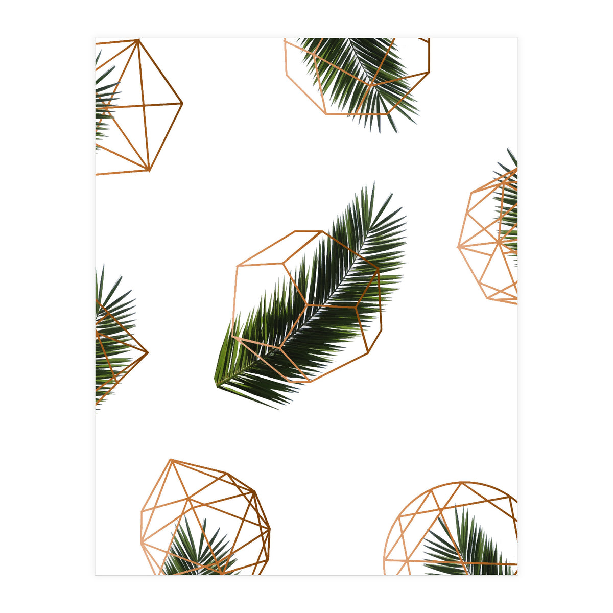 Palm  Geometry V2 (Print Only)