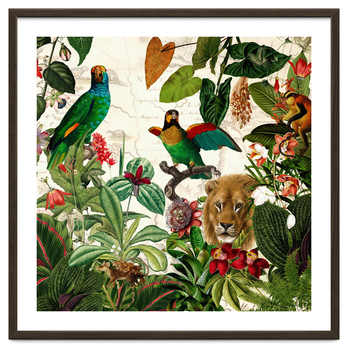 Exotic Lush Jungle And Wild Animals Landscape