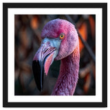 Close Up Of A Pink Flamingo Bird Face thumbnail