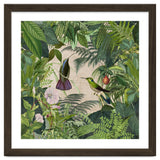 Tropical Hummingbird Jungle thumbnail