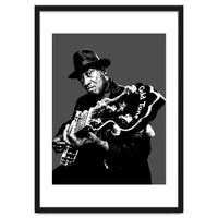 Taj Mahal American Blues Musician Legend