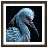 Striking Portrait Of A Blue Heron Bird thumbnail