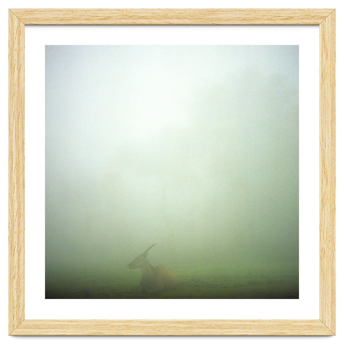 Silence of breath - 06