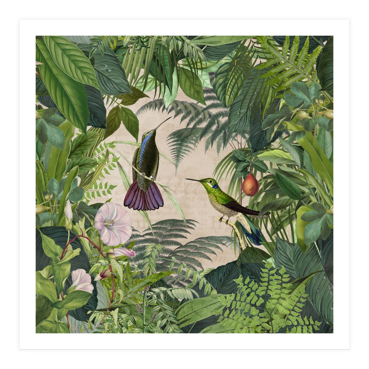 Tropical Hummingbird Jungle (Print Only)