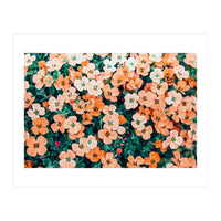 Floral Bliss, Nature Photography Garden Meadow, Blush Orange Coral Summer Flowers Botanical (Print Only)