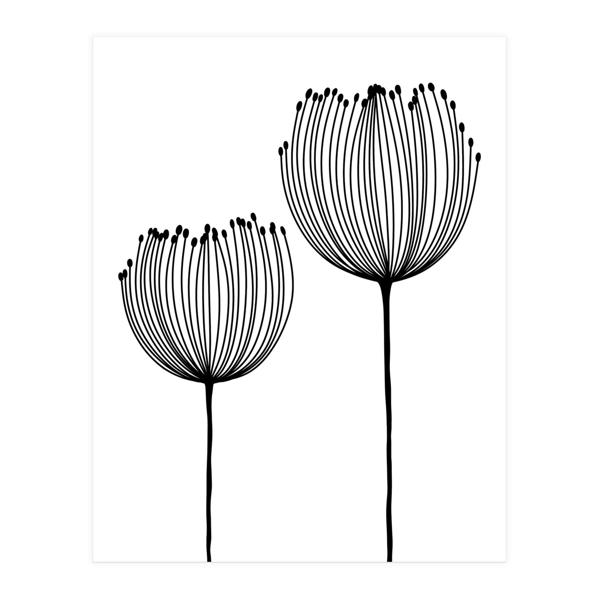 Two wildflowers (Print Only)