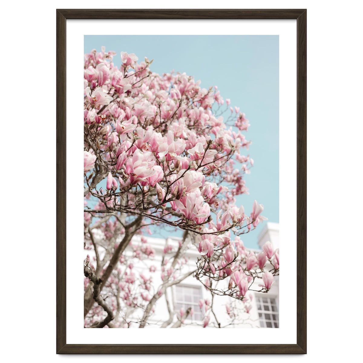 Spring Time