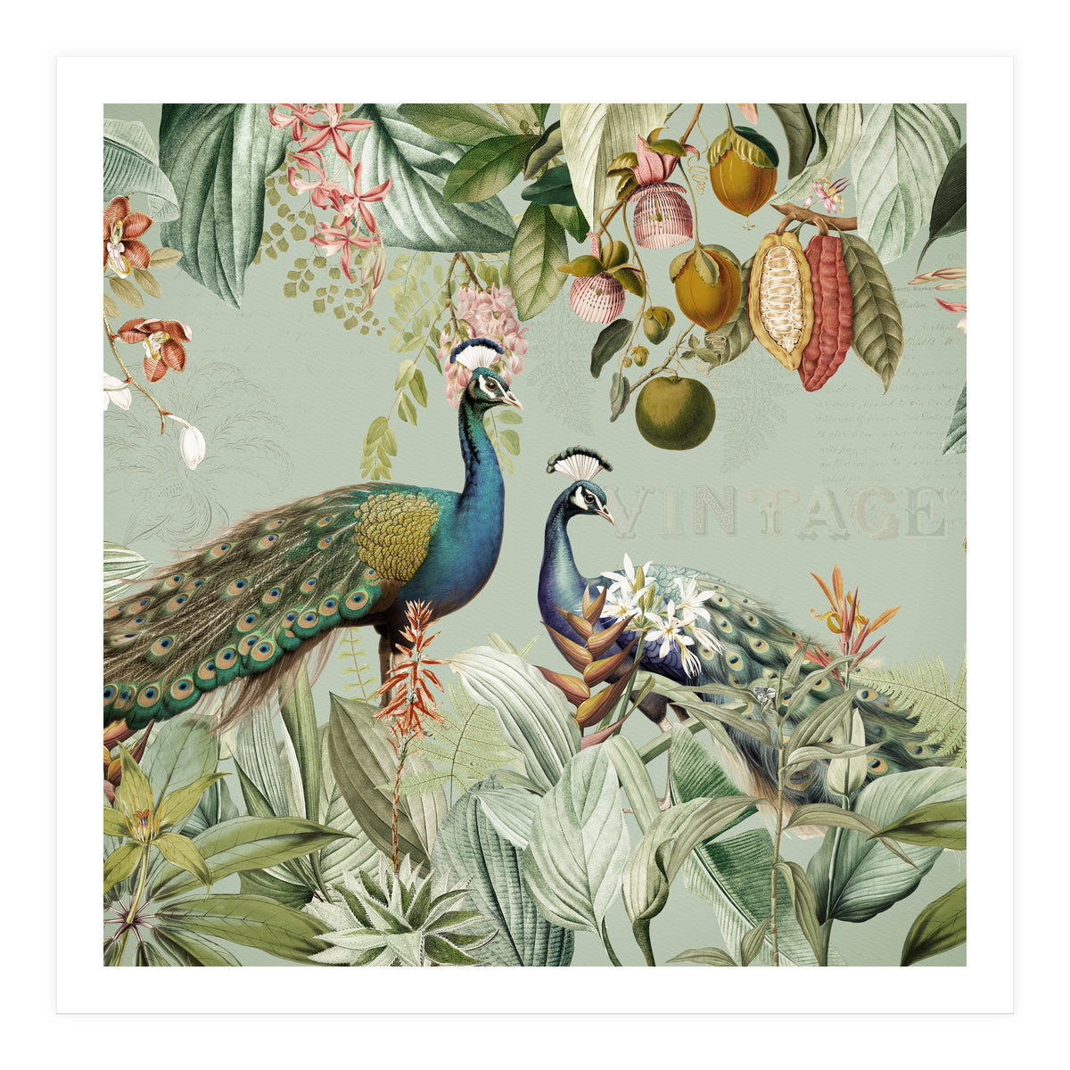 Vintage Exotic Asian Peacocks In Tropical Jungle Landscape (Print Only)