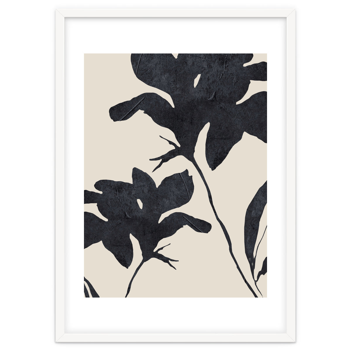 Shadowed Blooms