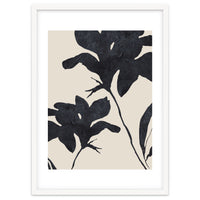Shadowed Blooms