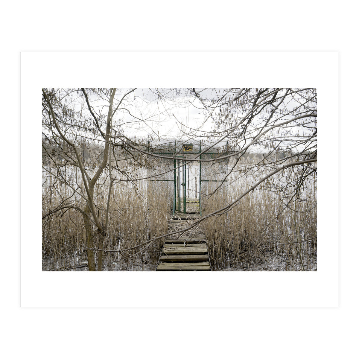 The gate to the lake (Print Only)