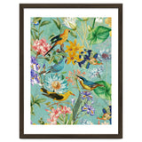 Birds In Tropical Jungle thumbnail