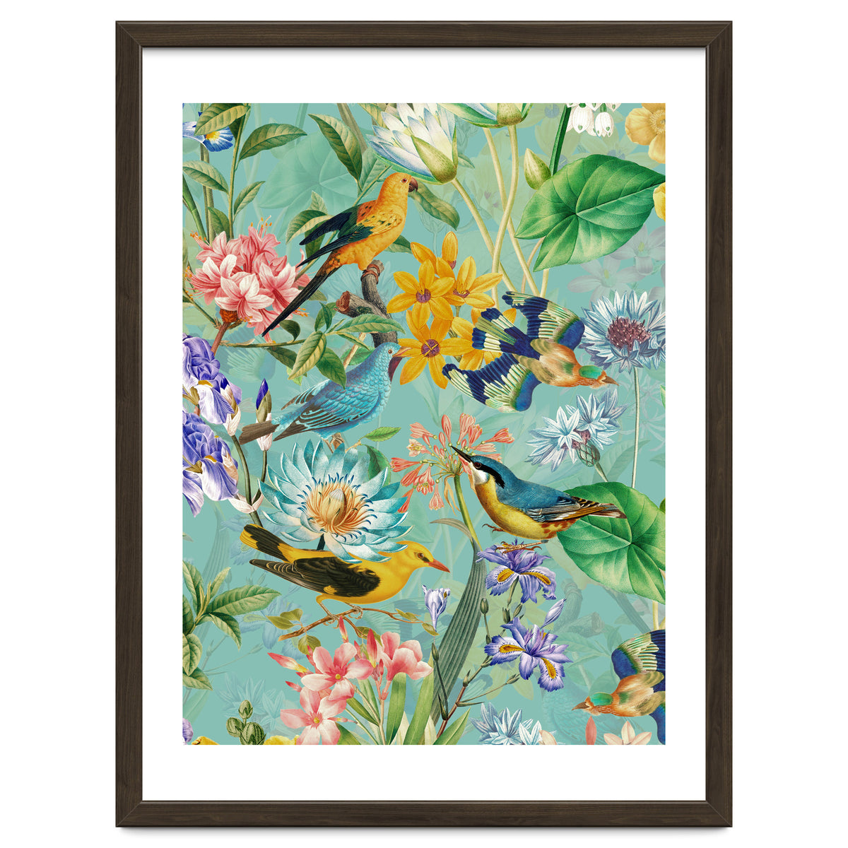 Birds In Tropical Jungle