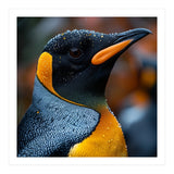 King Penguin With Water Droplets In Rain (Print Only) thumbnail