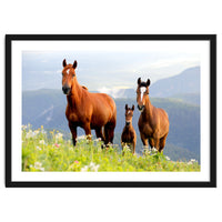 Three Horses