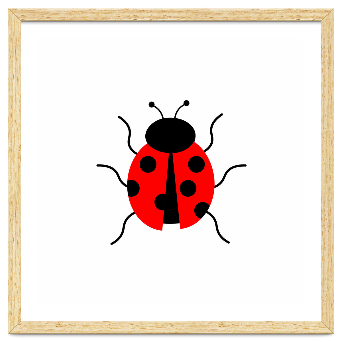 Lady Bug