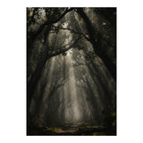 Enchanted Canopy: Mystical Forest Path (Print Only) thumbnail