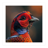 Close Up Pheasant Bird  (Print Only) thumbnail