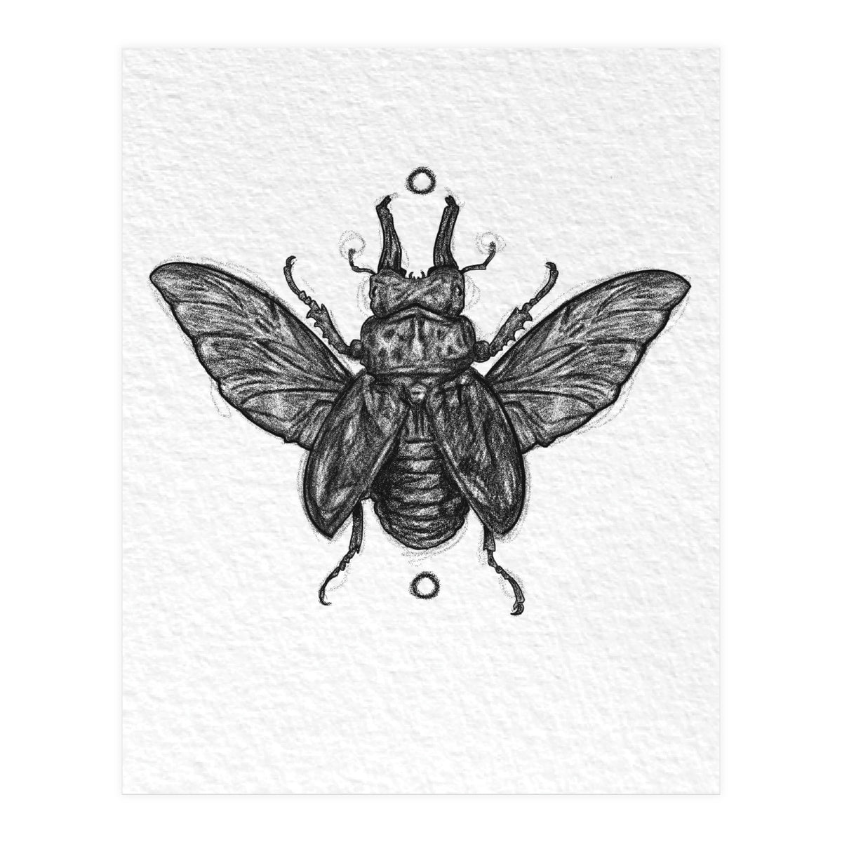 Hirschkäfer  (Print Only)