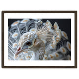 Close Up Albino Peacock Bird Portrait thumbnail