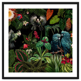 Moody Botanical Midnight Jungle Birds thumbnail