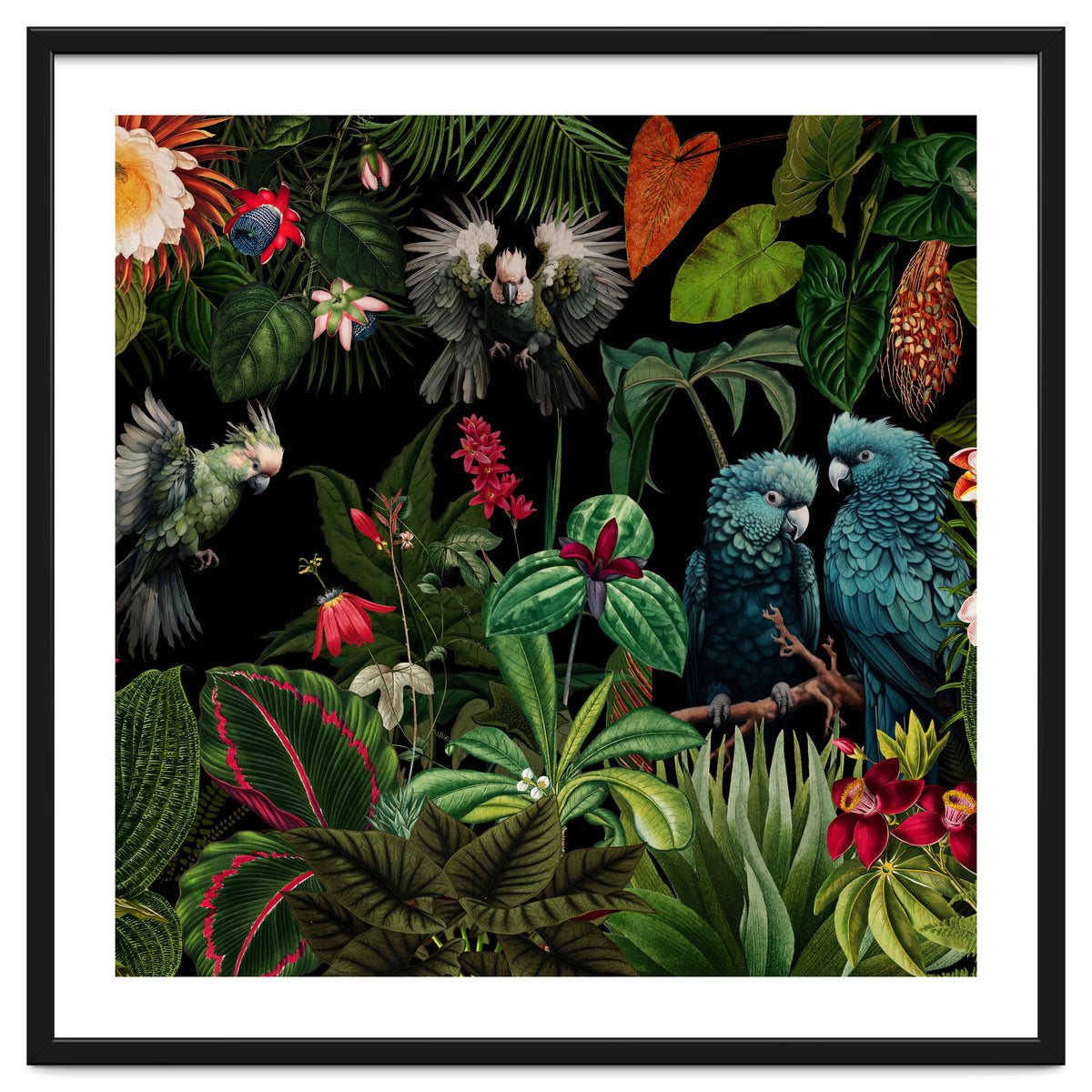 Moody Botanical Midnight Jungle Birds