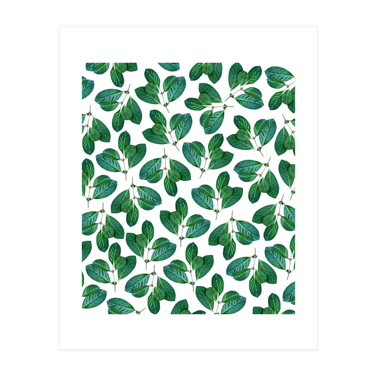 Lemon Leaf (Print Only)
