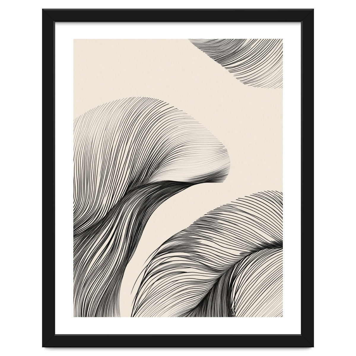 Black And White Flowing Lines Organic Shapes