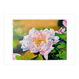 peony (Print Only) thumbnail