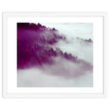 Forest Fog thumbnail