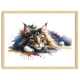 Maine Coon Resting Portrait thumbnail