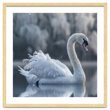 Majestic White Swan Gracefully Floating On Water thumbnail