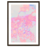 Chamomile thumbnail