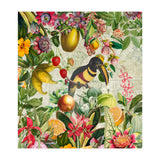 Toucan vintage jungle  (Print Only) thumbnail