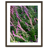 Lavender Flowers thumbnail