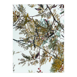 Patterns In Nature (Print Only) thumbnail