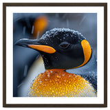 King Penguin Close Up In Snowfall thumbnail