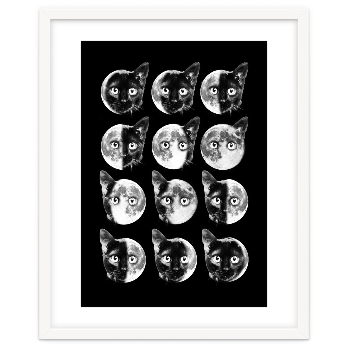 Cat Moon Phases