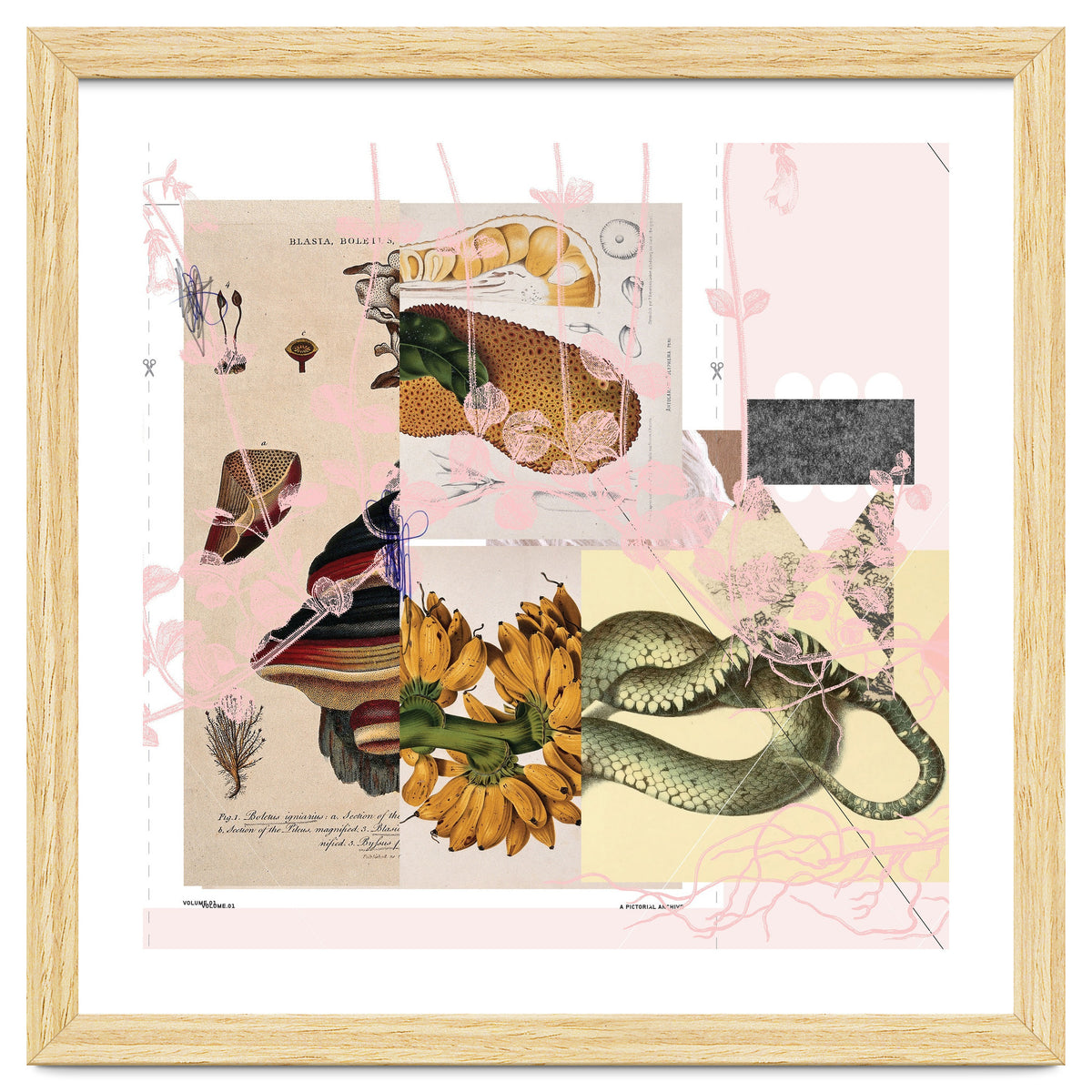 Abstract White Daydream Flower