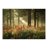 The poppy forest (Print Only) thumbnail
