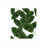 Banana Leaves V2 (Print Only) thumbnail