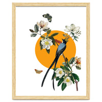 collage floral birds