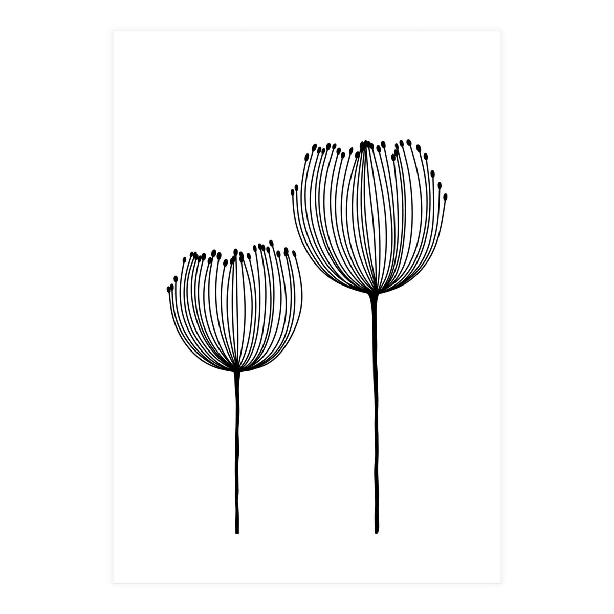 Two wildflowers (Print Only)