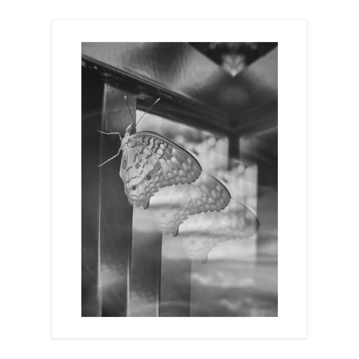 Evolving | Black & White (Print Only)