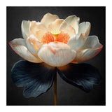 Lotus Cultivar | Midnight Skirt (Print Only) thumbnail
